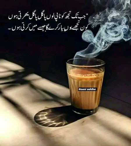 نا کوئی نسخہ نا دوا دیتے ہیں...!!
بس چائے سے پرہیز بتا دیتے ہیں..!! 
اس عہد کے طبیب ہیں ہی دیوانے..!!
علاج خود کو آتا نہیں اور الزام..! 
_____میری پیاری چائے پر لگا دیتے ہیں..!