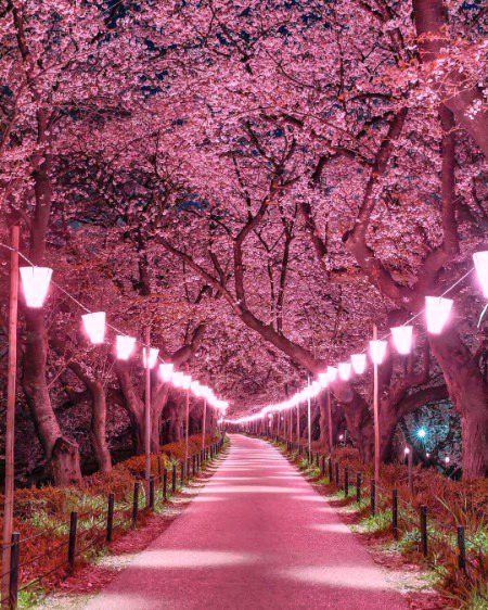 Beautiful nature❤️❤️❤️