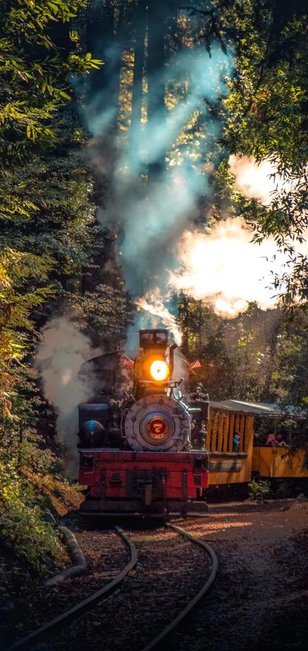 Beautiful Nature image