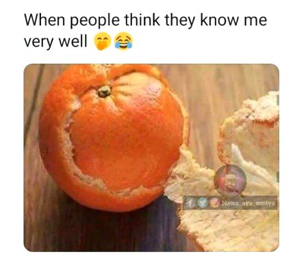 Memes & Satire image