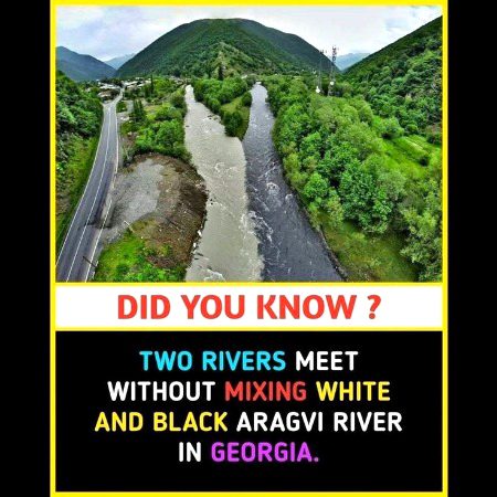 Interesting Posts image