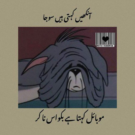 Memes & Satire image