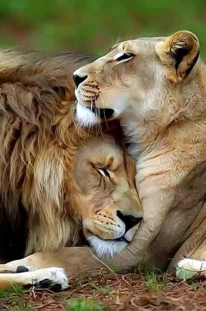I like it when you smile But
I love it when i am reason.....