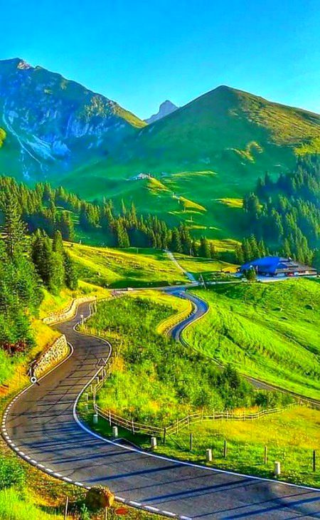 Beautiful Nature image