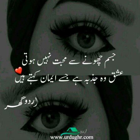 ✨✨💫💫✨✨