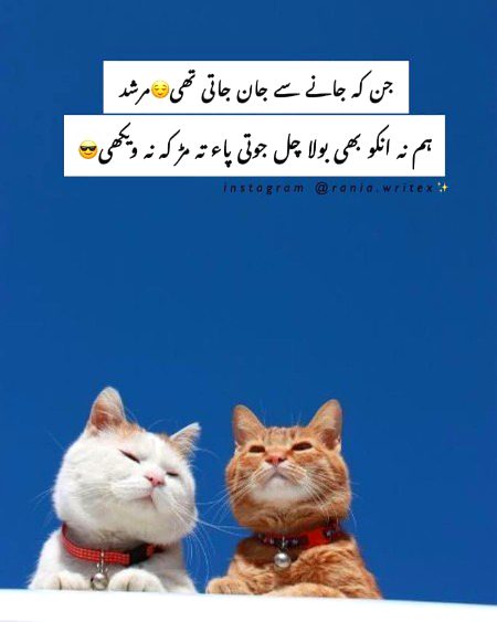 Attitude Quotes image