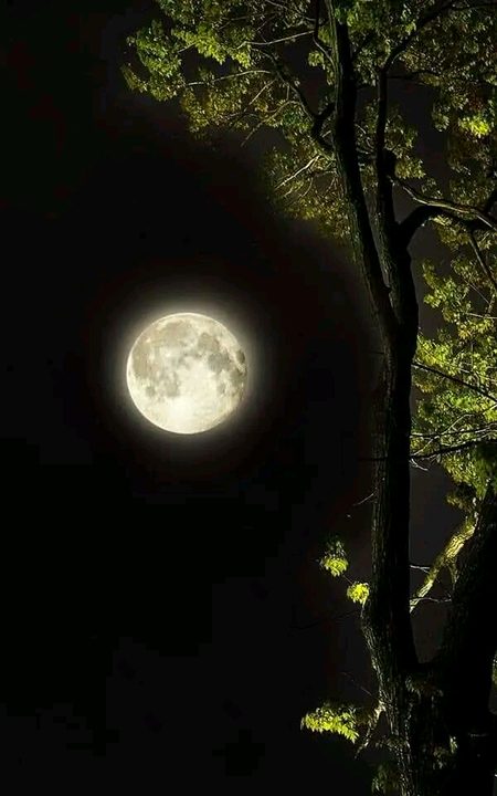 Beautiful Structures image