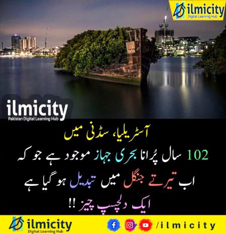 Interesting Posts image