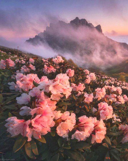 Beautiful Nature image