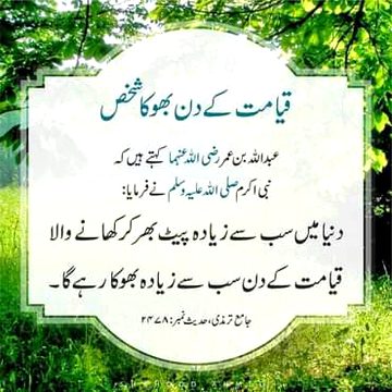 Islamic Quotes image