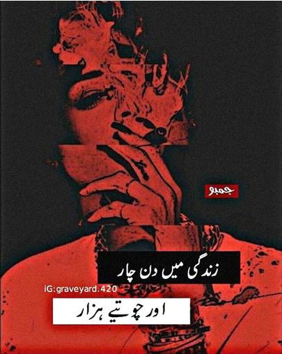 Memes & Satire image