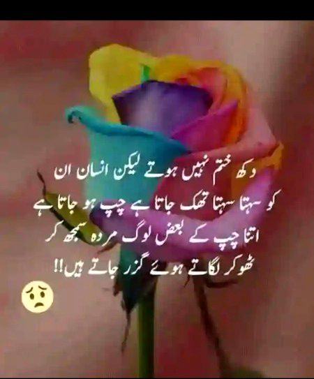 Gud nit 
All lk dn ha sb k 
Ye trending ko kya mout ha upr ni ja rha nechy hi a rha wps