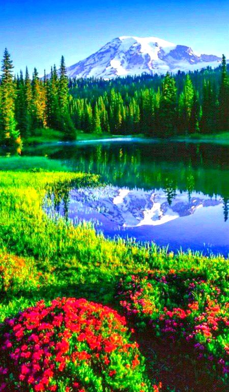 Beautiful Nature image