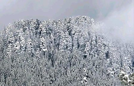 Beautiful Nature image