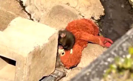 میں اپنی ہی بے قراری سے مر گیا آخر
میرے لیے کوئی دِل بے قرار تھا ہی نہیں 🍂