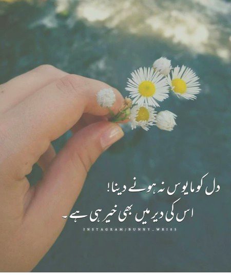 Motivational Quotes image