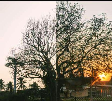 اللہ تعالی کو کوشش بہت پسند ہے، آپ اس کی چاہت پانے کے لیے یا قبولیت پانے کے لیے کوشش کریں گے وہ اسے بڑا پسند کرے گا۔ وہ کوشش کتنی ہی معمولی ہو لیکن وہ مستقل اور سچی نیت سے ہو۔آپ دعا کی قبولیت کے لیے کوئی بھی عمل اپنا لیں، اس پر قائم رہیں، اللہ اپنے وعدے میں بڑا سچا ہے، وہ جان جائے گا کہ یہ عمل آپ  کس لیے کر رہے ہیں پھر وہ آپ کی کوشش پر پھل ضرور دے گا۔🤍