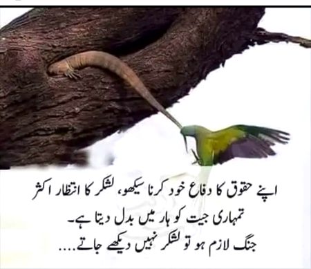 Motivational Quotes image