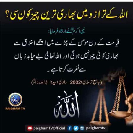 Islamic Quotes image