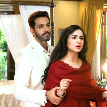 Pakistani Celebs image