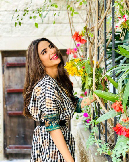 Pakistani Celebs image