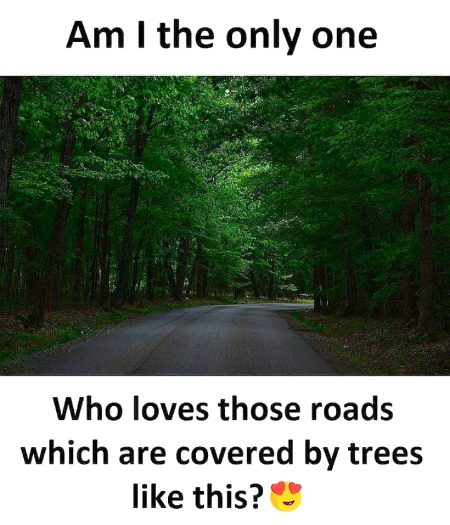 Beautiful Nature image