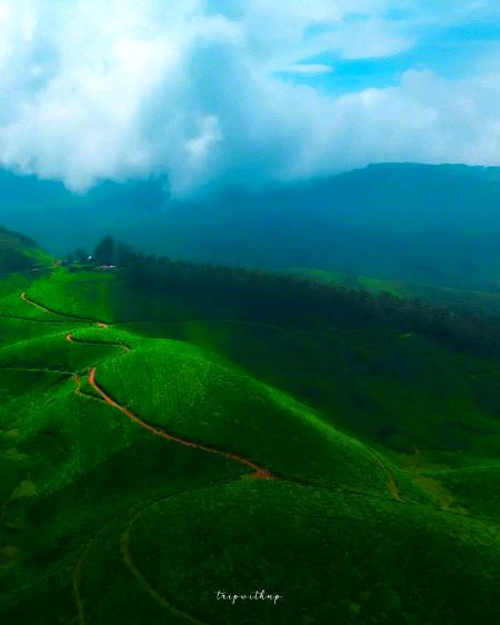 Beautiful Nature image