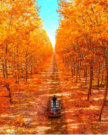 Beautiful Nature image