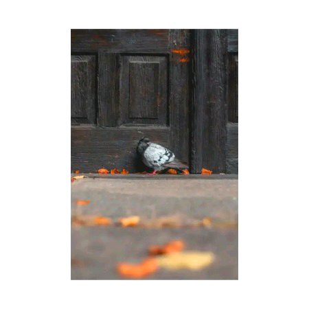 پلٹ کر آنے والوں کو وہ رتبے نہیں ملتے !!