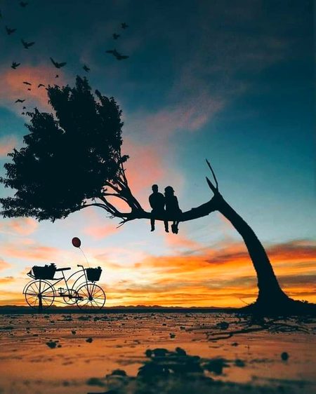 Beautiful Nature image