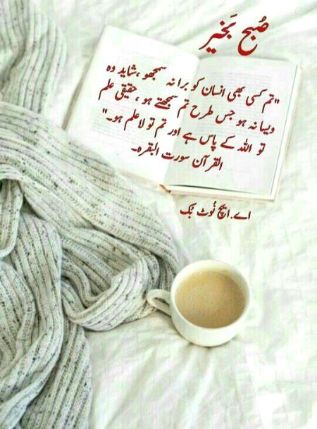 Islamic Quotes image