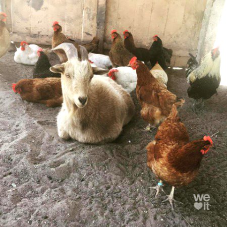 Beautiful Nature image