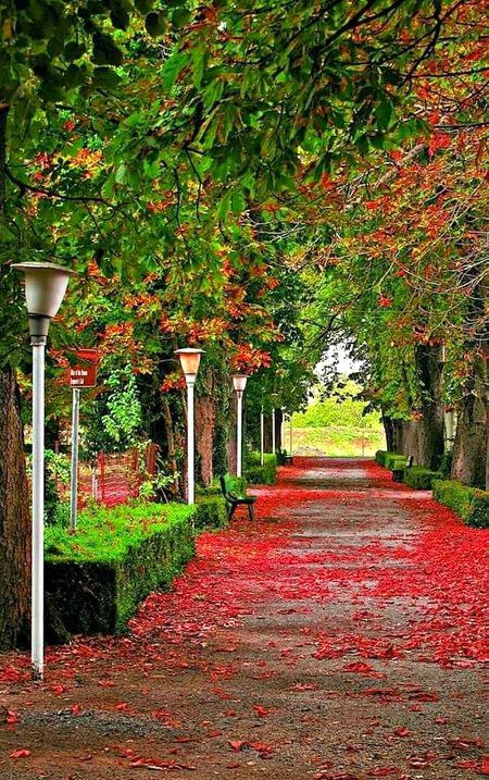 Beautiful Nature image