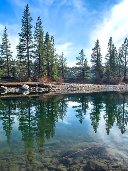 Beautiful Nature image