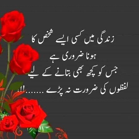 Only m Saanaam ❣️❣️