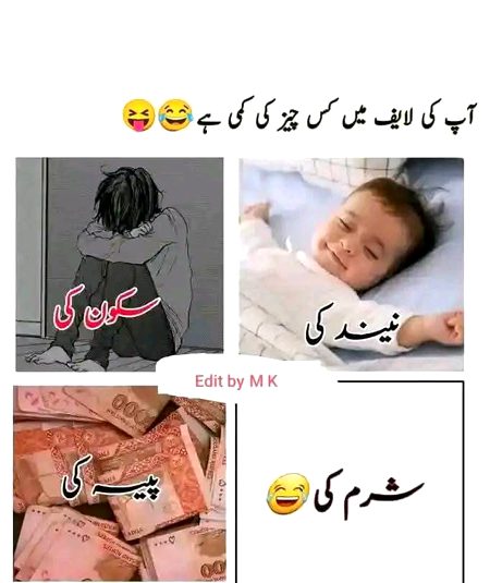 Pagl log btyn.