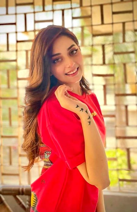 Pakistani Celebs image