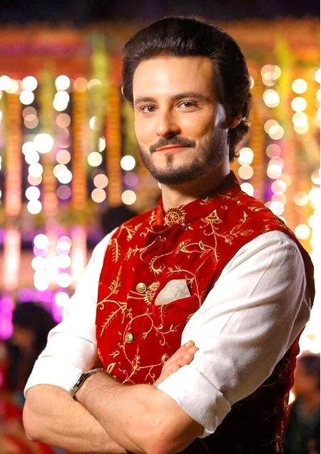 Pakistani Celebs image