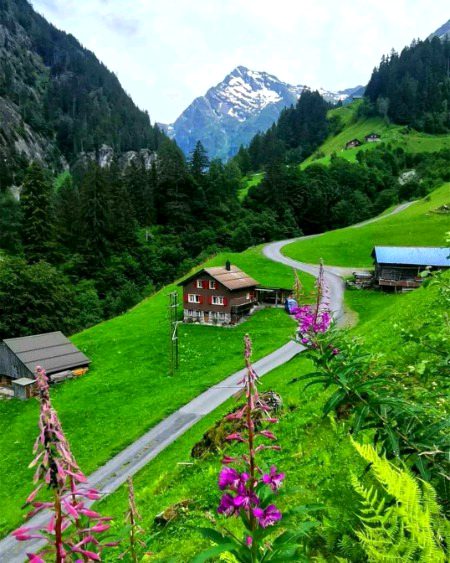 Beautiful Nature image