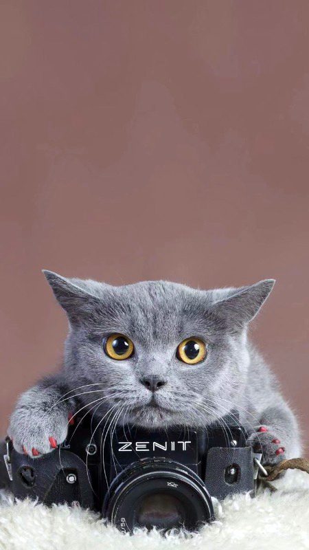 Beautiful Nature image