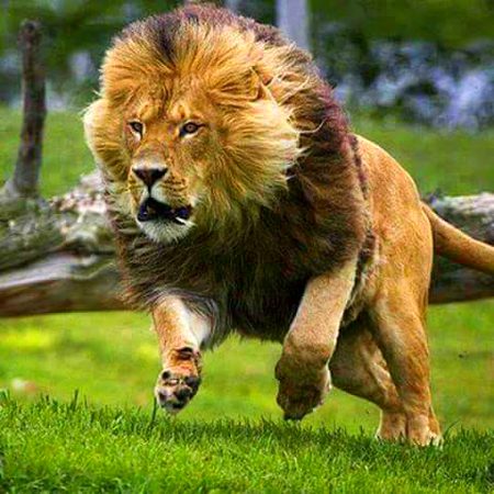 Beautiful Nature image