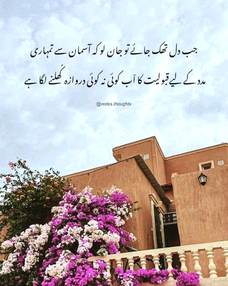 Motivational Quotes image