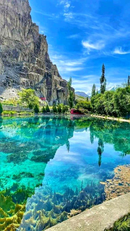 Beautiful Nature image