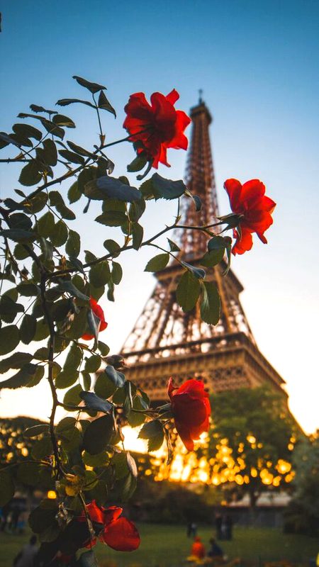Beautiful Structures image