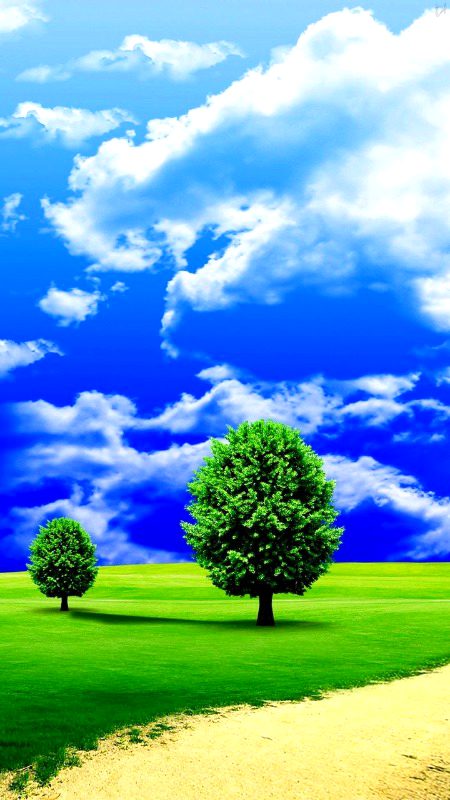 Beautiful Nature image