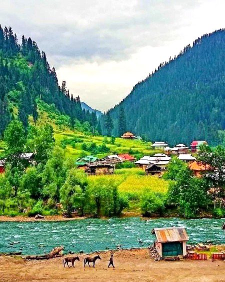 Beautiful Nature image