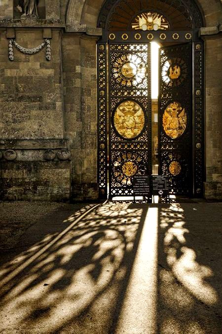 Happy Sunday ❣️❣️