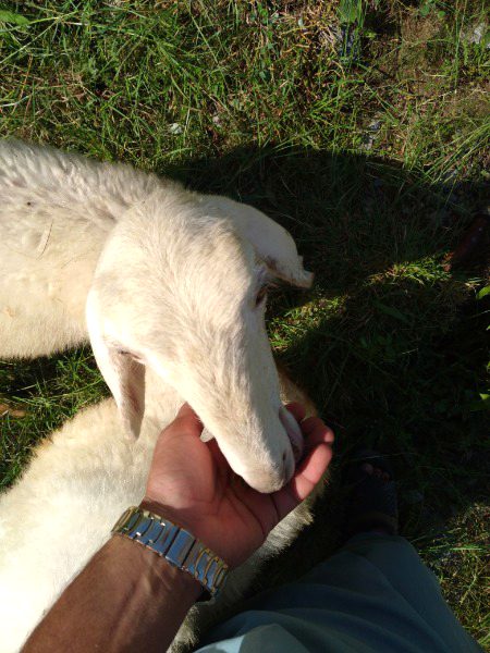 Beautiful Nature image