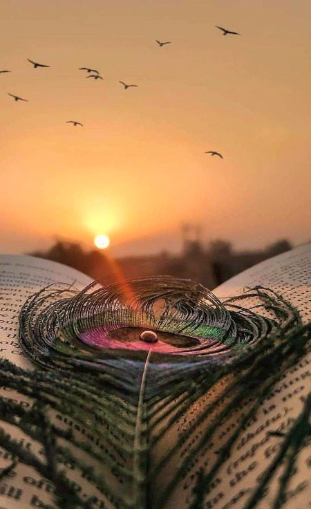 Beautiful Nature image