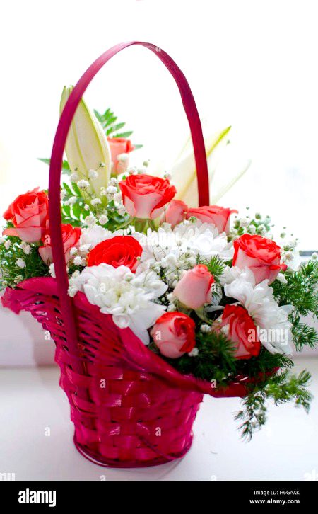 Beautiful Nature image